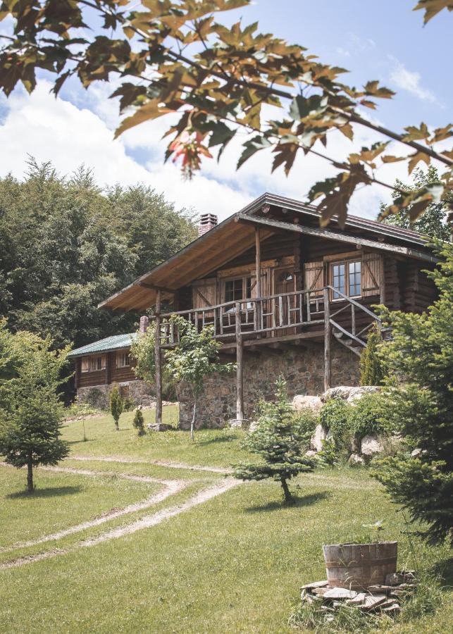 Sfendamos Wood Village Naousa  Exteriér fotografie