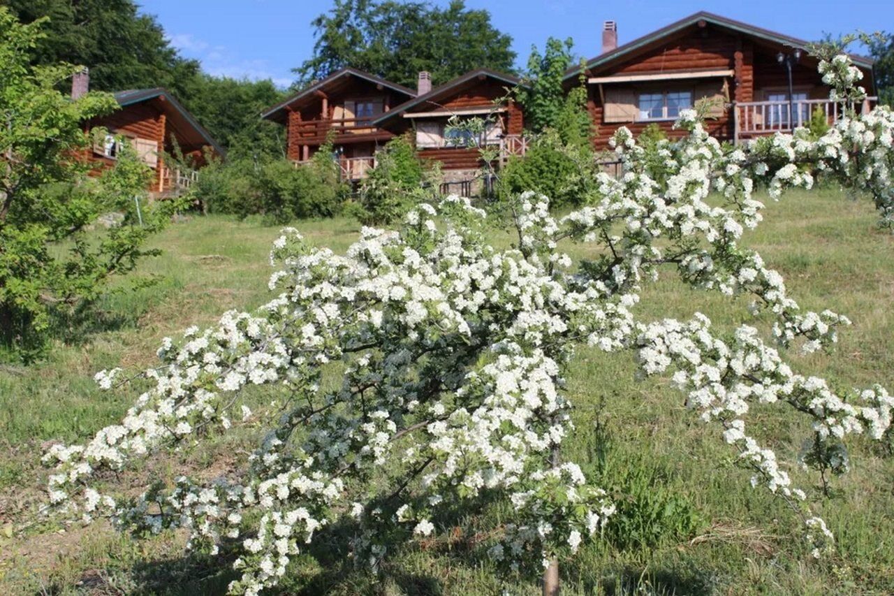 Sfendamos Wood Village Naousa  Exteriér fotografie